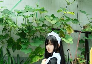 白莉爱吃巧克力的图集资源，找不到的芭芭拉在等你