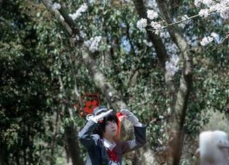柴郡魔术师的私拍合集，矢量鱼偷偷来个魔法特辑！